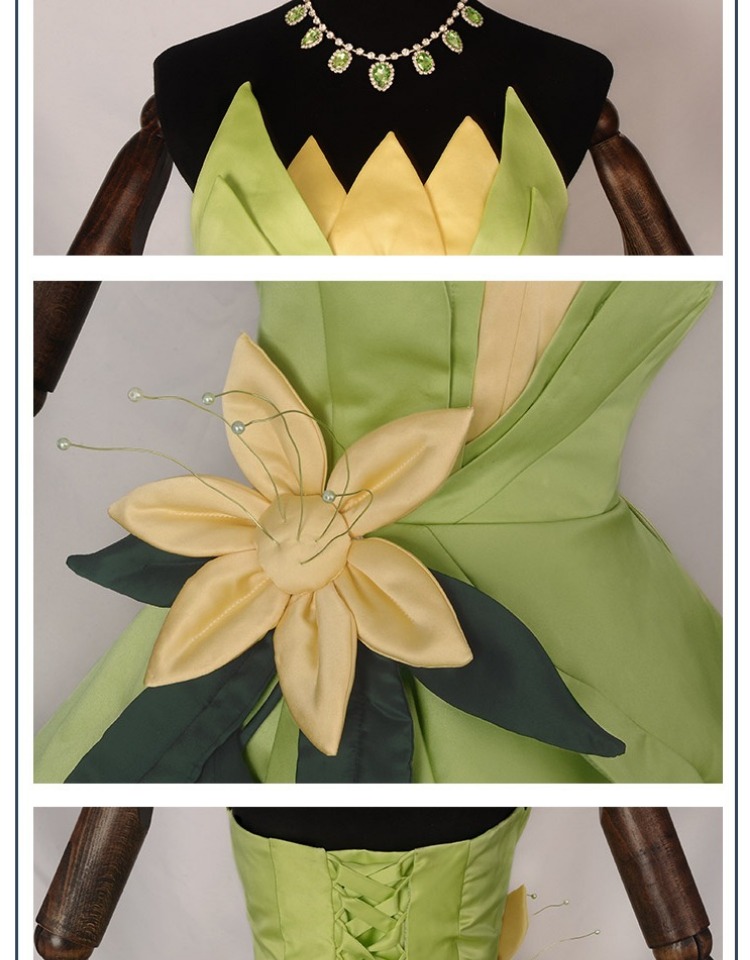 فستان الأميرة تيانا، زي تنكري، - مراجعة Women Accessories Products وسعره